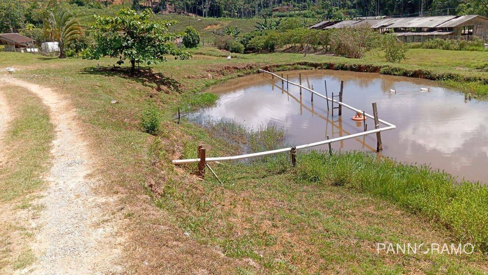 Chácara, 2 quartos, 1 hectares - Foto 5