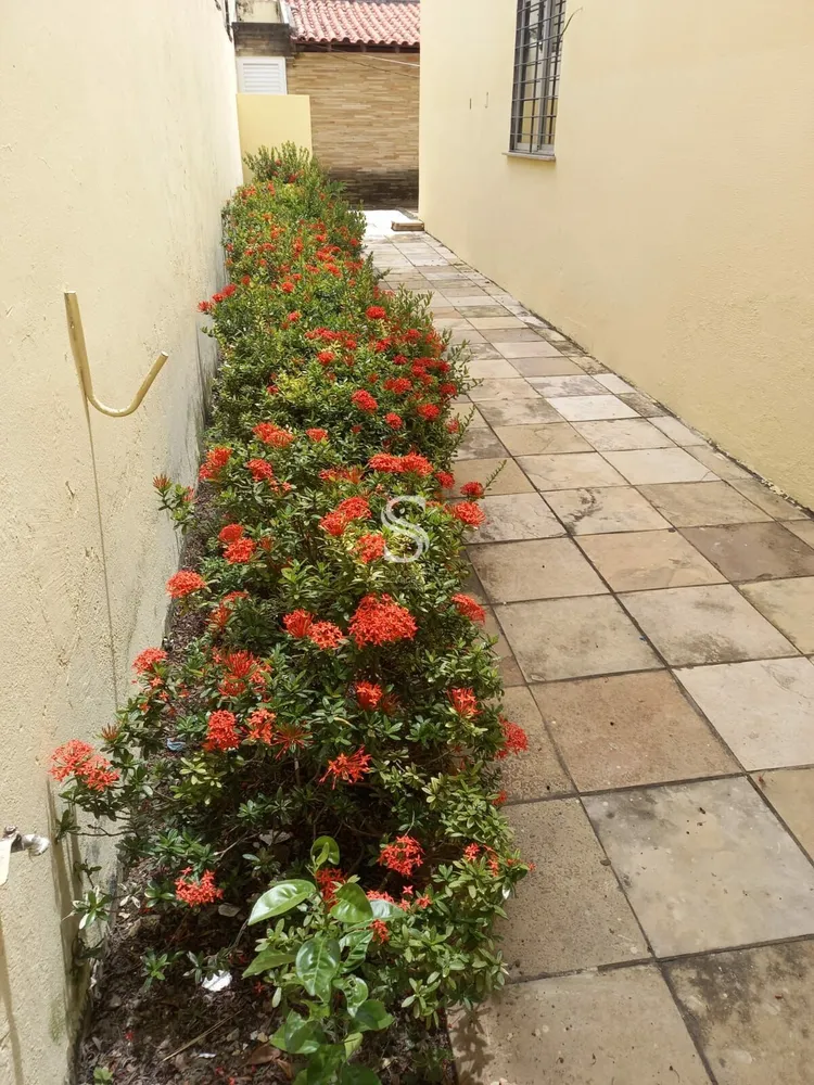 Casa, 4 quartos, 250 m² - Foto 15
