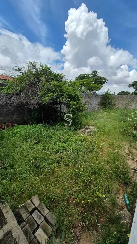 Casa, 4 quartos, 30 m² - Foto 5