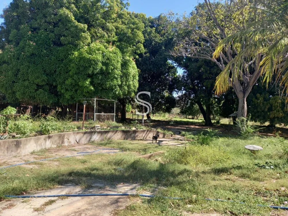 Terreno, 2 hectares - Foto 13
