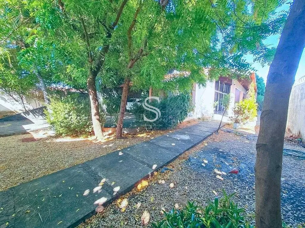 Casa, 3 quartos, 339 m² - Foto 6