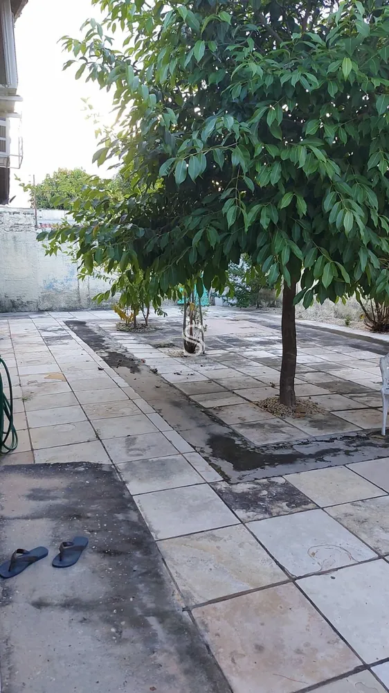 Casa, 3 quartos, 256 m² - Foto 4