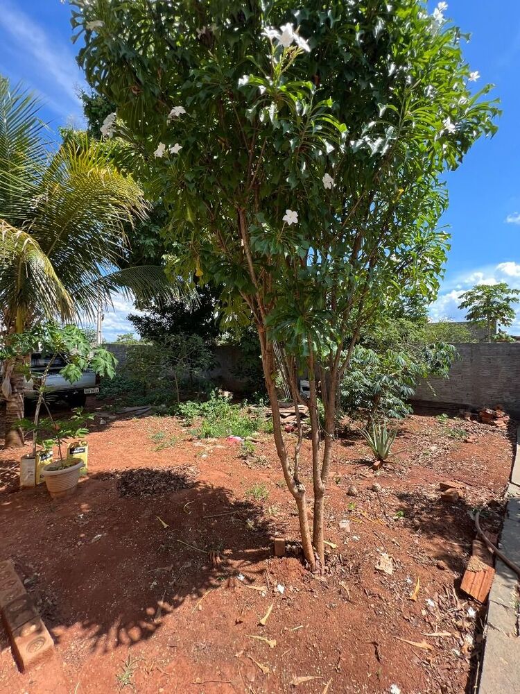 Casa, 3 quartos, 180 m² - Foto 20