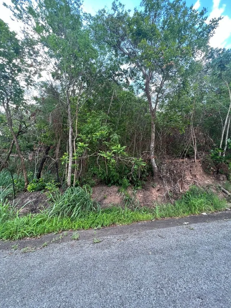 Terreno, 450 m² - Foto 2