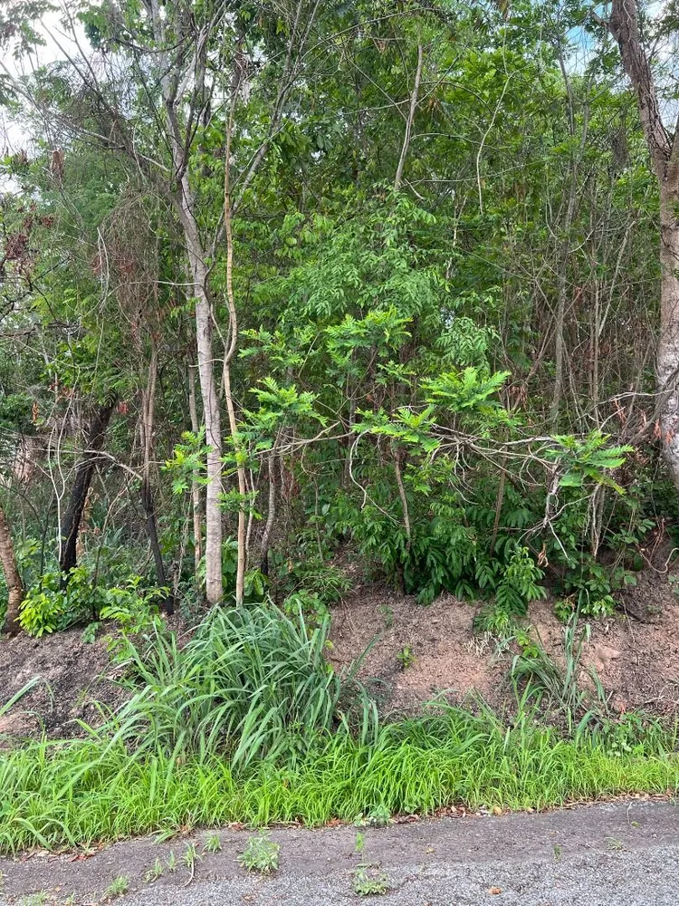 Terreno, 450 m² - Foto 5