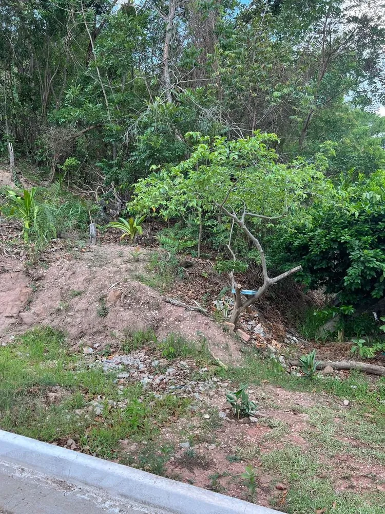 Terreno, 450 m² - Foto 3