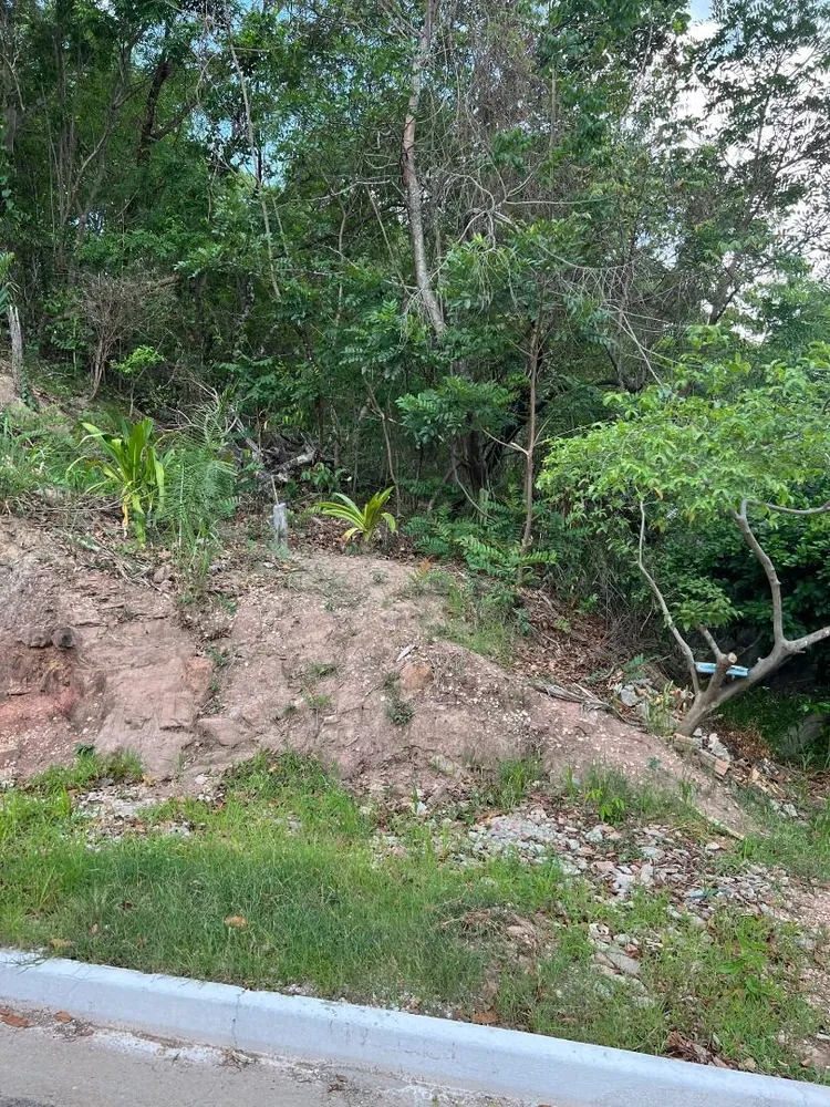 Terreno, 450 m² - Foto 5
