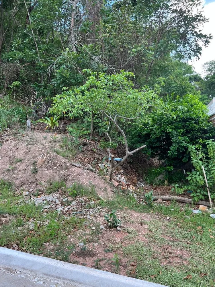 Terreno, 450 m² - Foto 2