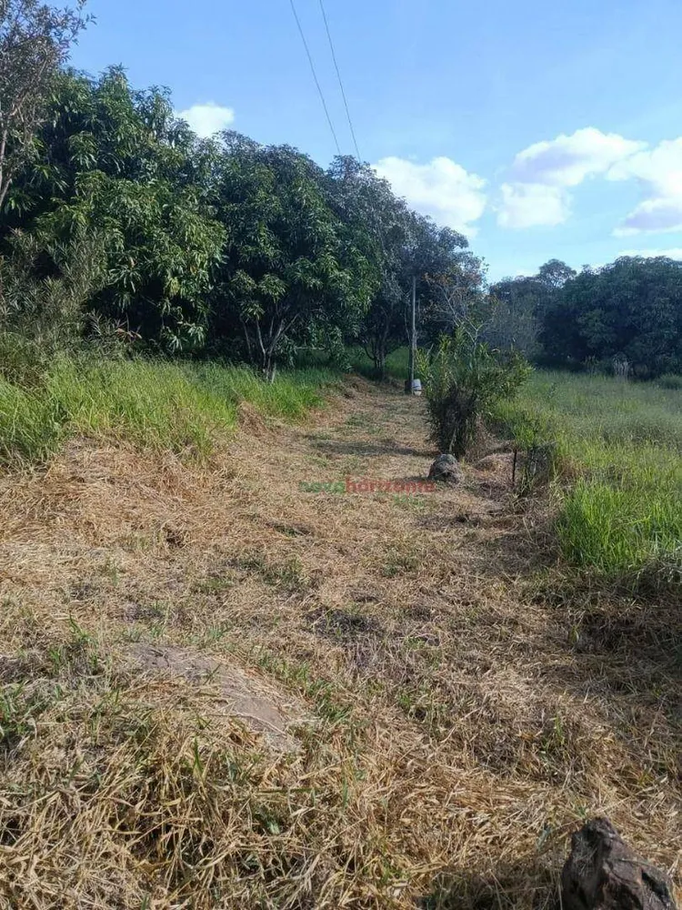 Terreno, 5000 m² - Foto 4