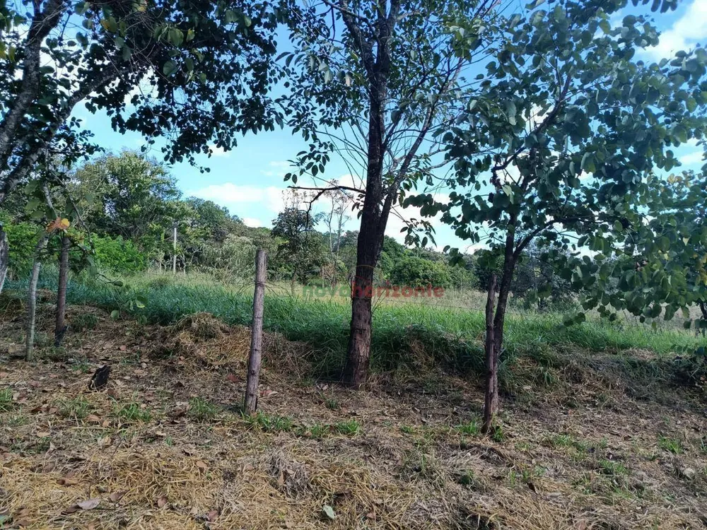 Terreno, 5000 m² - Foto 9