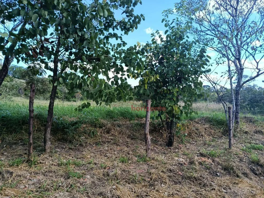 Terreno, 5000 m² - Foto 10