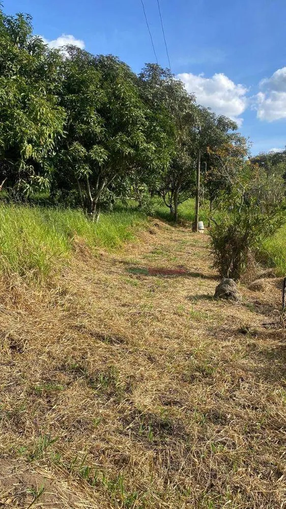 Terreno, 5000 m² - Foto 2