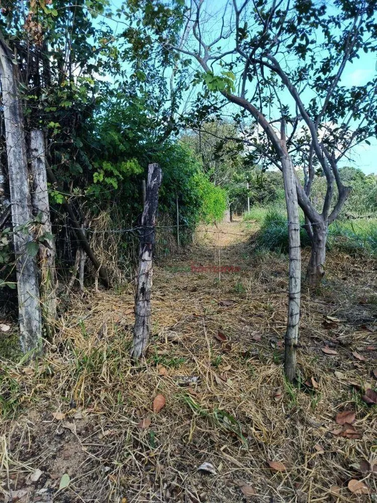 Terreno, 5000 m² - Foto 7