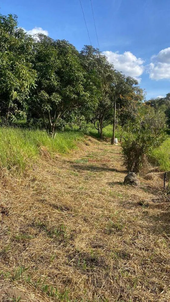 Terreno, 5000 m² - Foto 8