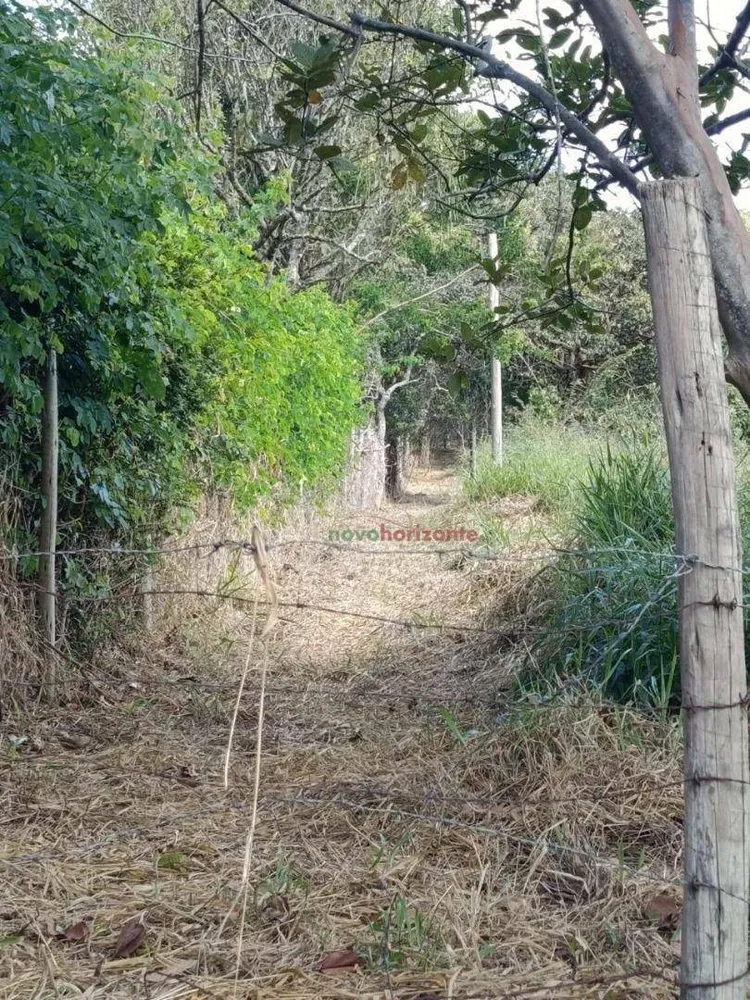 Terreno, 5000 m² - Foto 6