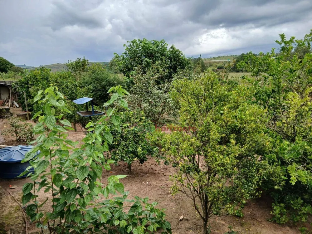 Chácara, 2000 m² - Foto 7