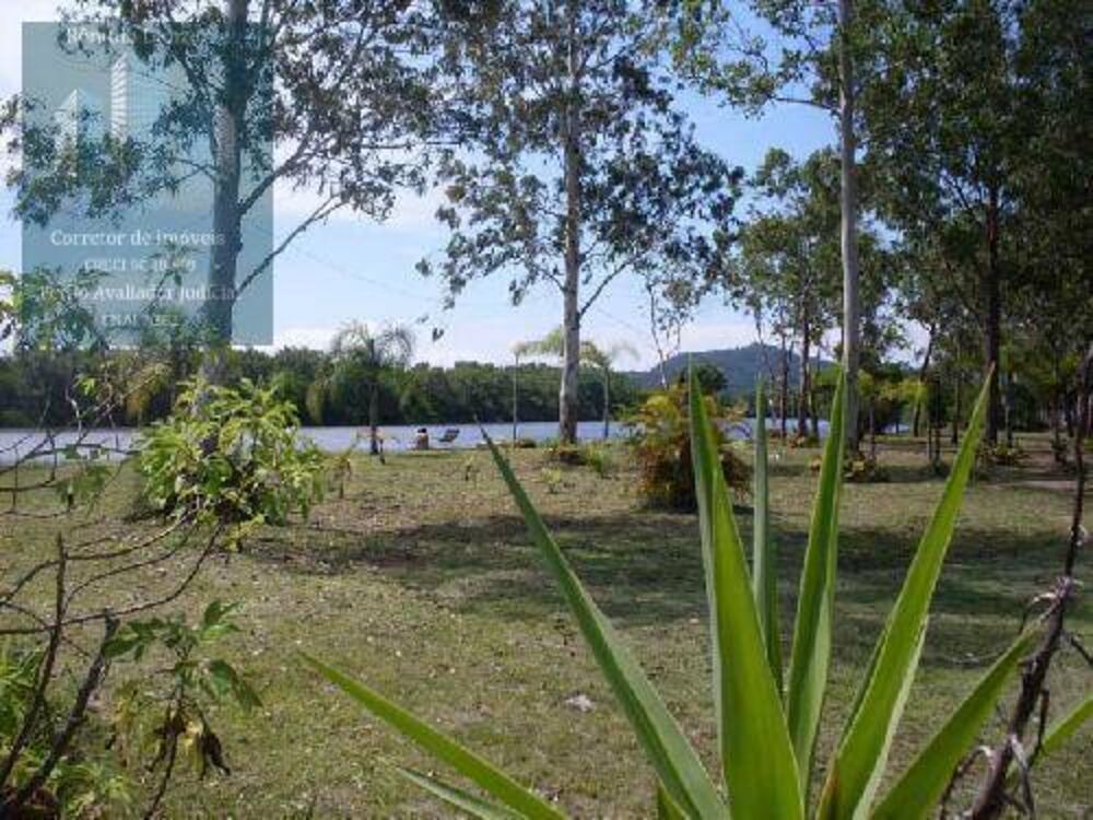 Terreno, 4 hectares - Foto 8