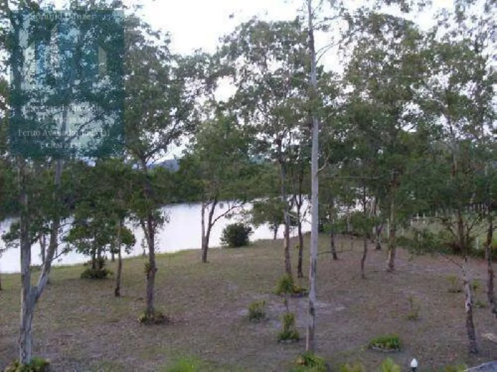 Terreno, 4 hectares - Foto 4