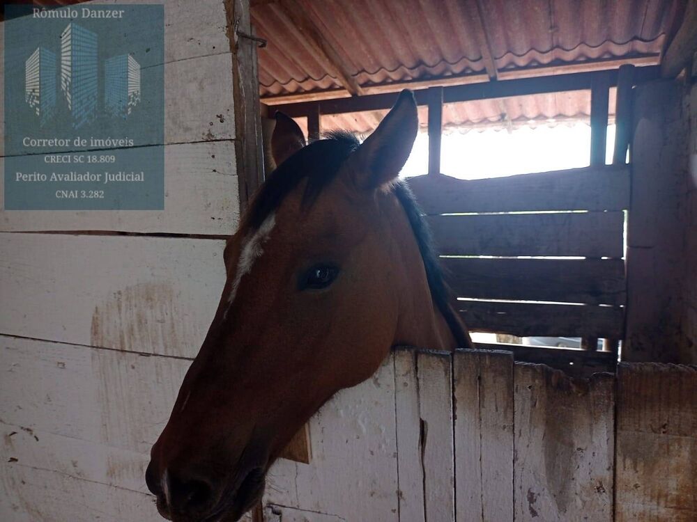 Sítio, 2 quartos, 1 hectares - Foto 7