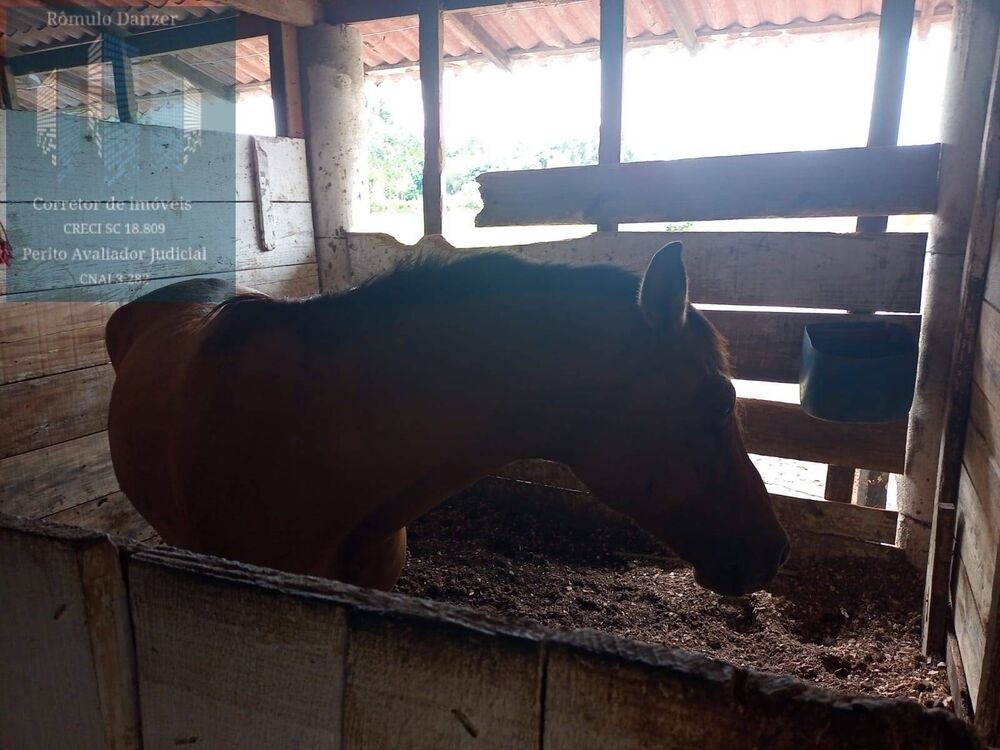 Sítio, 2 quartos, 1 hectares - Foto 8