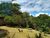 Fazenda-Sítio-Chácara, 4014 m² - Foto 6