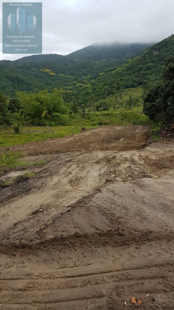 Fazenda, 125 hectares - Foto 4