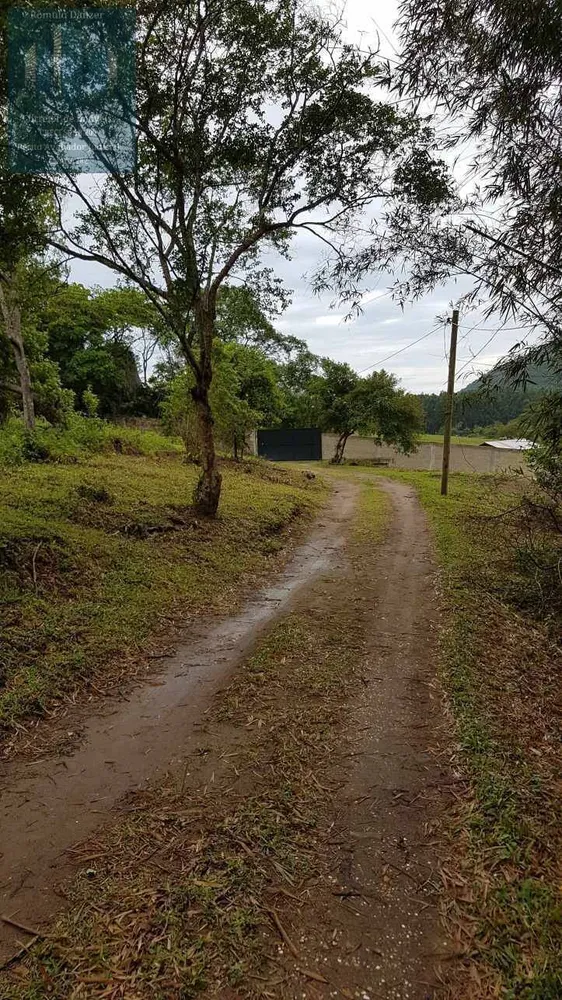 Sítio, 2 quartos, 125 hectares - Foto 1