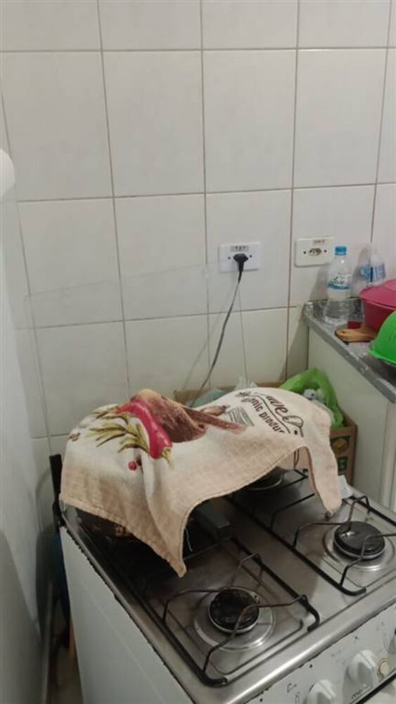 Apartamento, 2 quartos, 54 m² - Foto 7