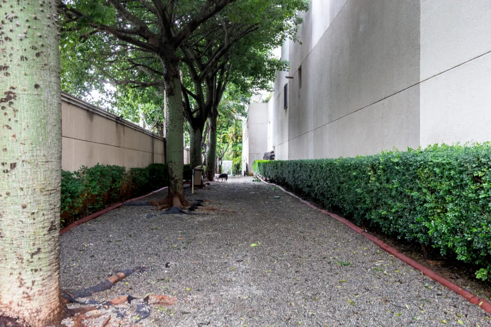 Apartamento, 2 quartos, 76 m² - Foto 1