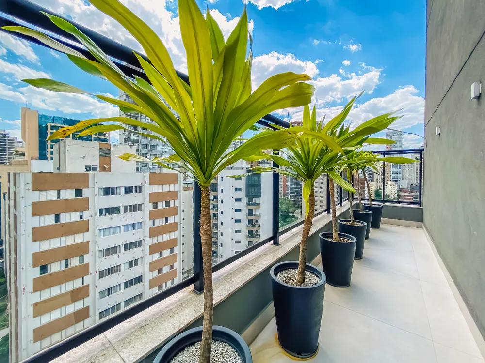 Apartamento, 2 quartos, 36 m² - Foto 5