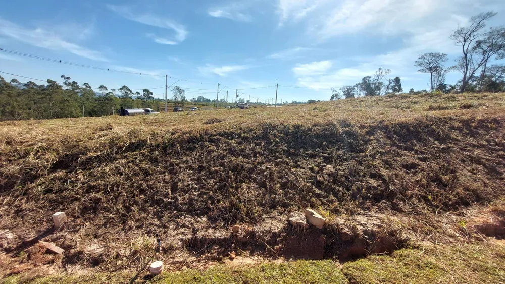 Terreno, 250 m² - Foto 3