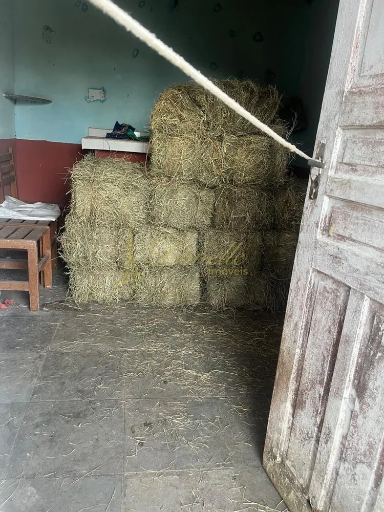 Chácara, 3 quartos, 2 hectares - Foto 6