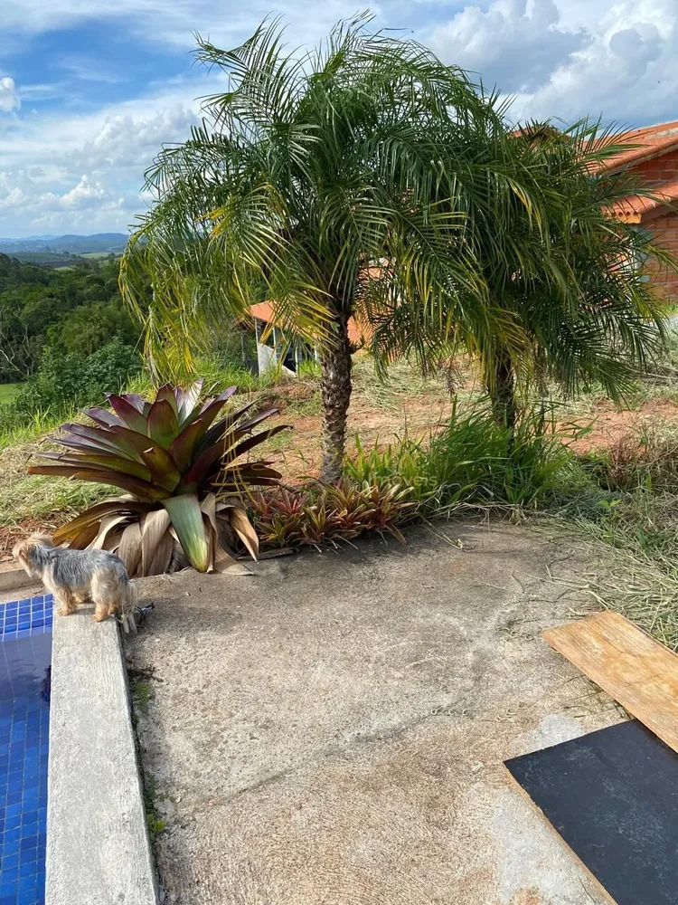 Chácara, 3 quartos, 3680 m² - Foto 8