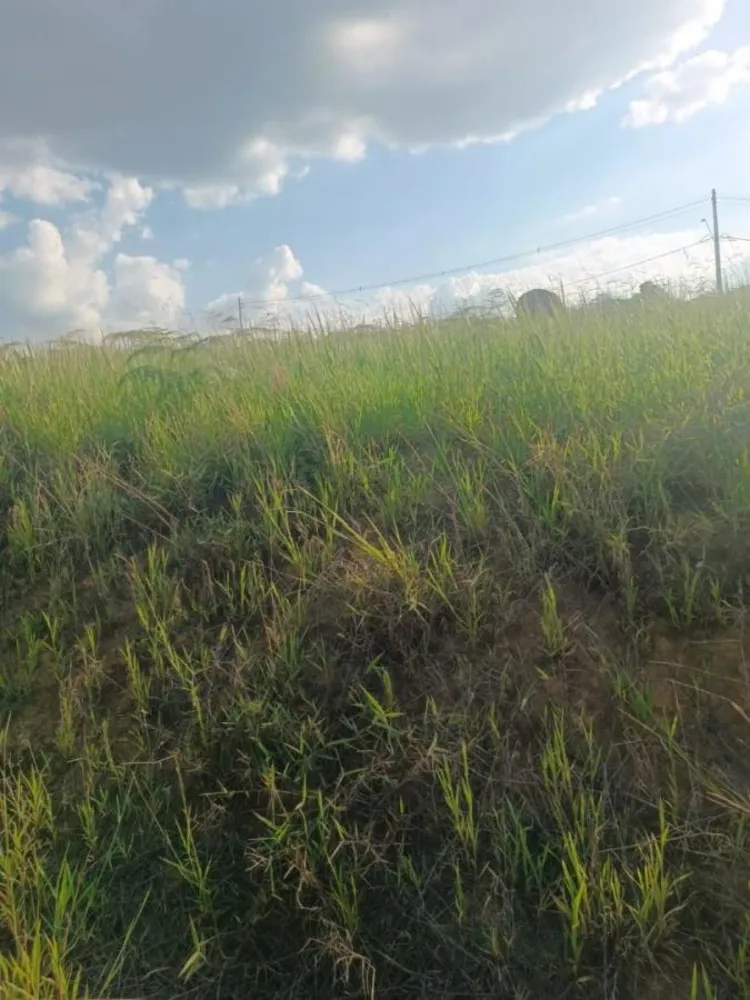Terreno, 250 m² - Foto 8