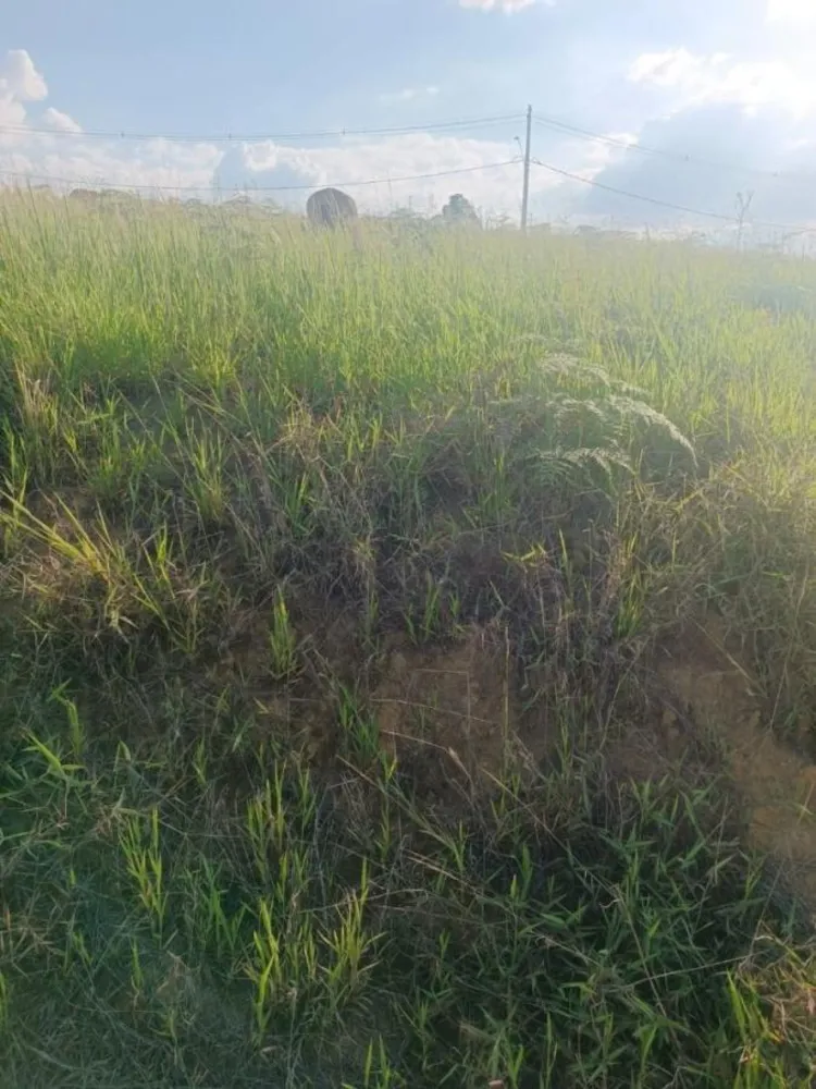 Terreno, 250 m² - Foto 7