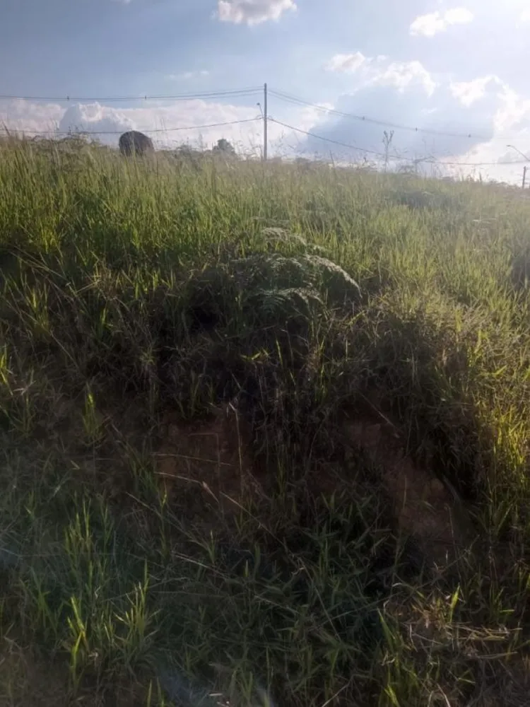 Terreno, 250 m² - Foto 5