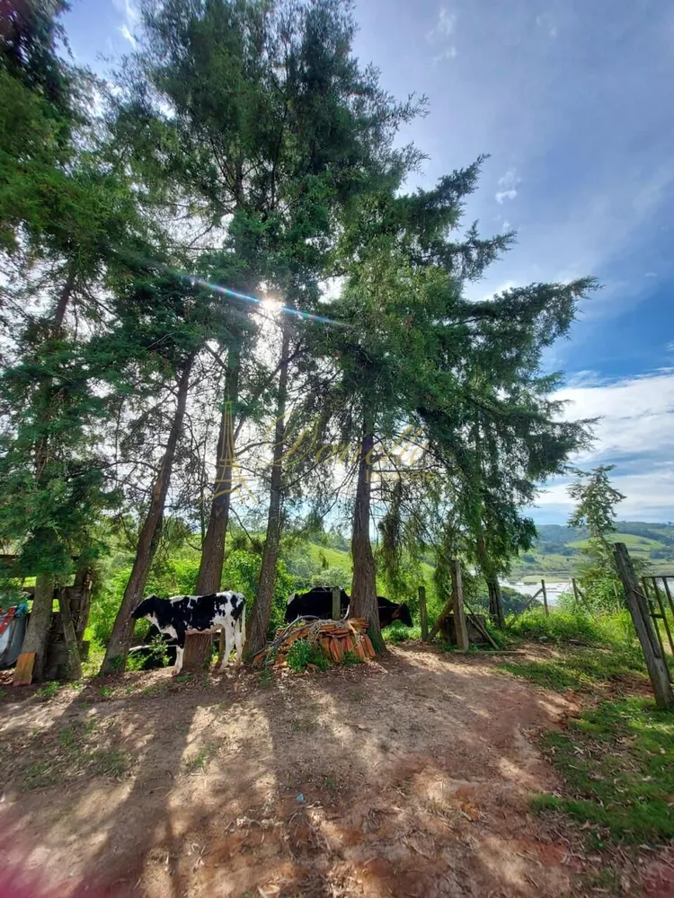 Chácara, 3 quartos, 2 hectares - Foto 11