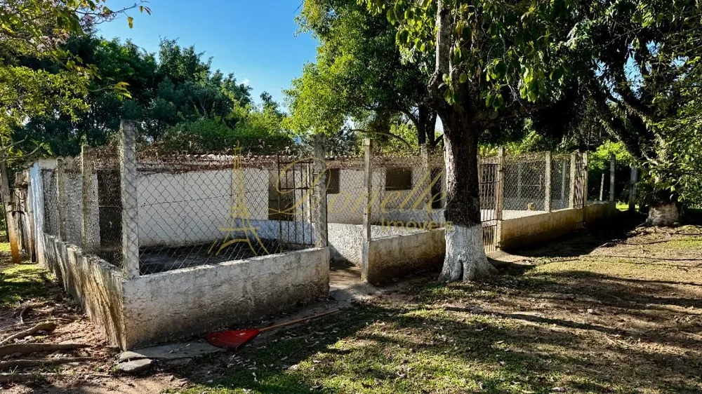 Chácara, 4 quartos, 4 hectares - Foto 3