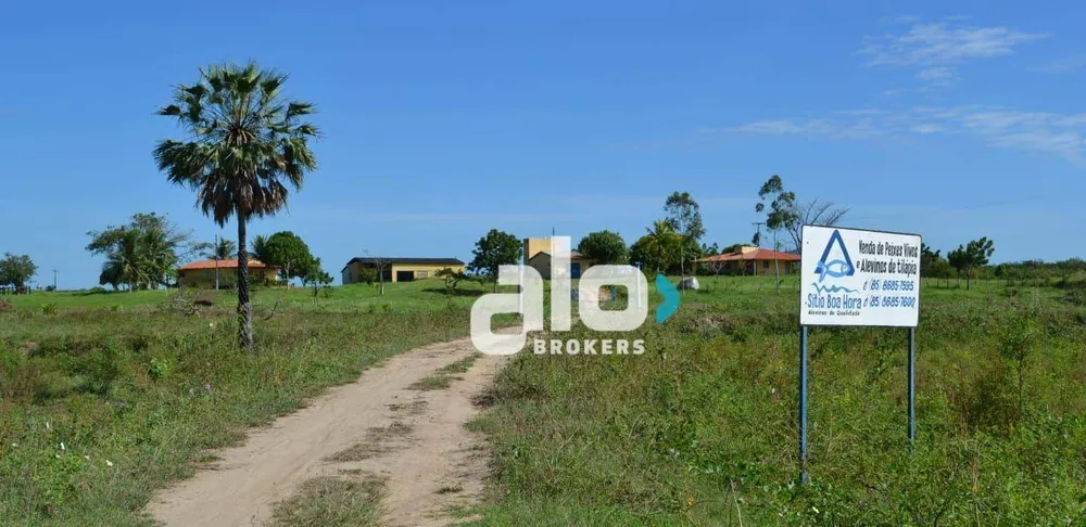 Fazenda, 52 hectares - Foto 2