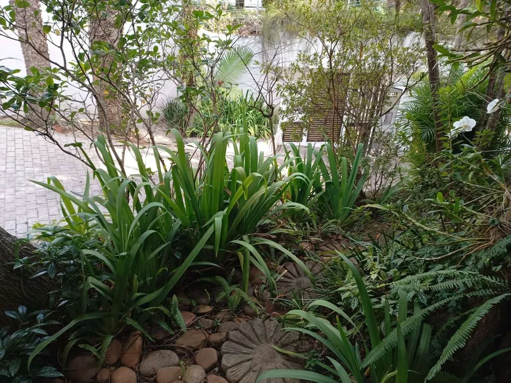 Casa, 4 quartos, 500 m² - Foto 1