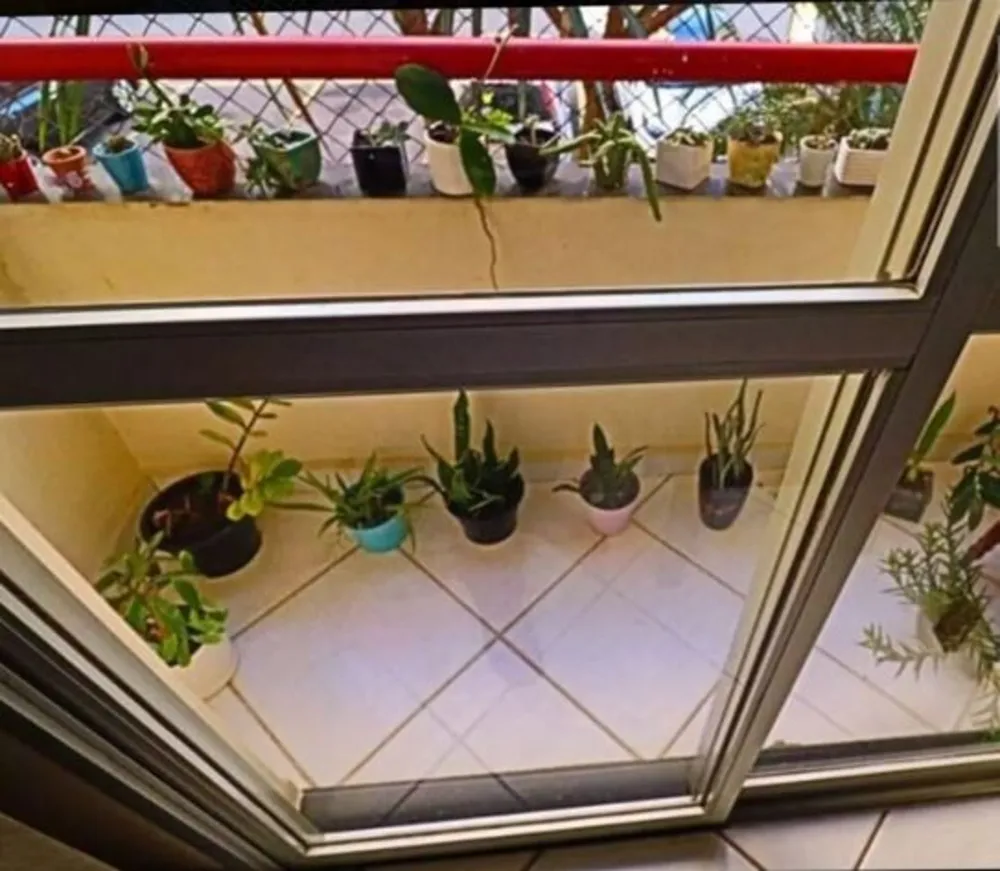 Apartamento, 3 quartos, 70 m² - Foto 6