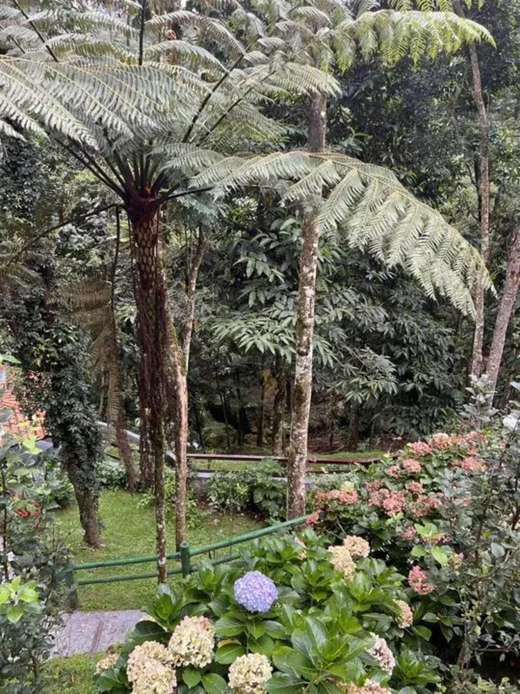 Prédio Inteiro - Foto 4