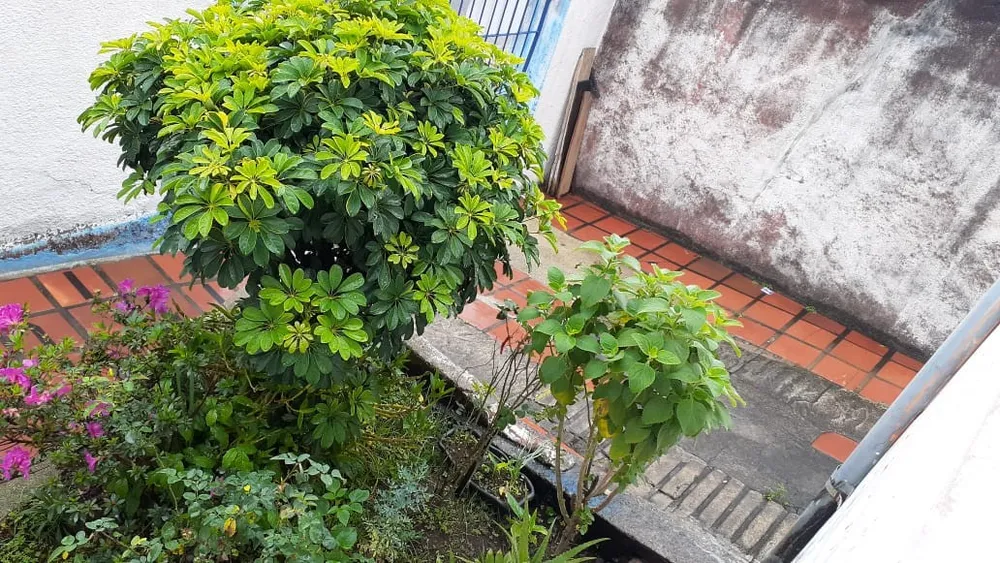 Casa, 3 quartos, 170 m² - Foto 15