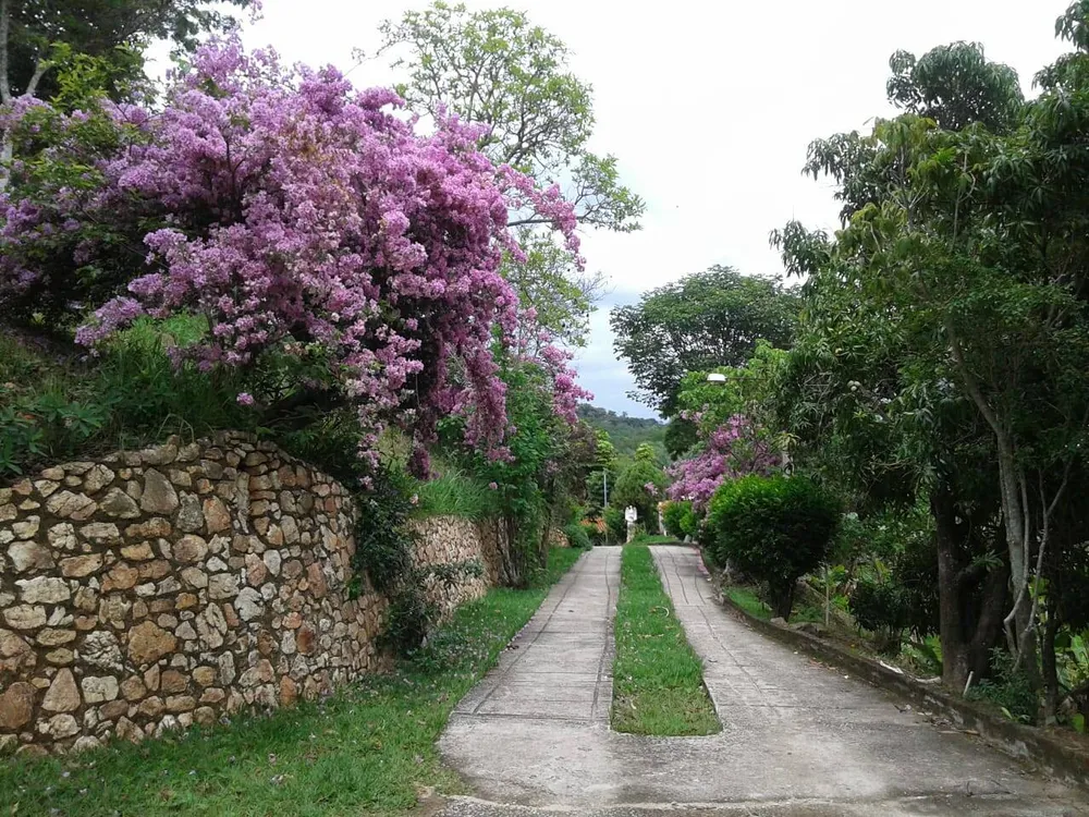 Sítio, 8 quartos, 2 hectares - Foto 1