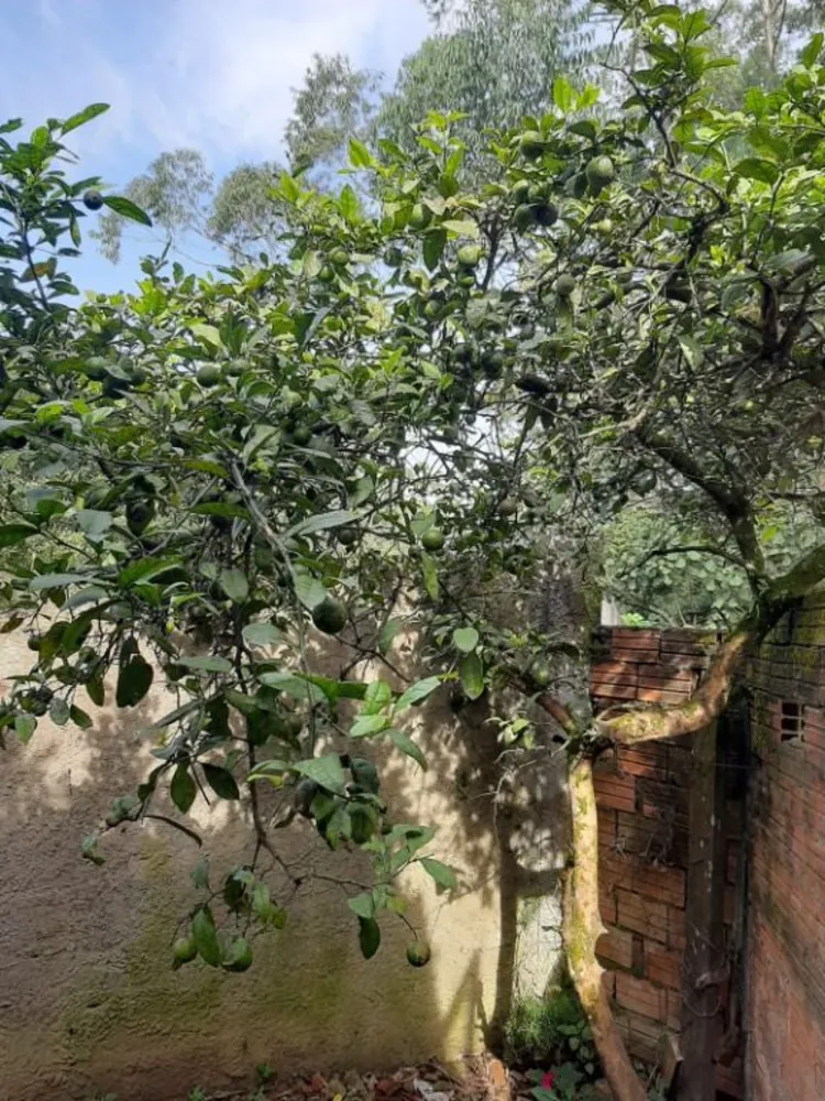 Terreno, 505 m² - Foto 11