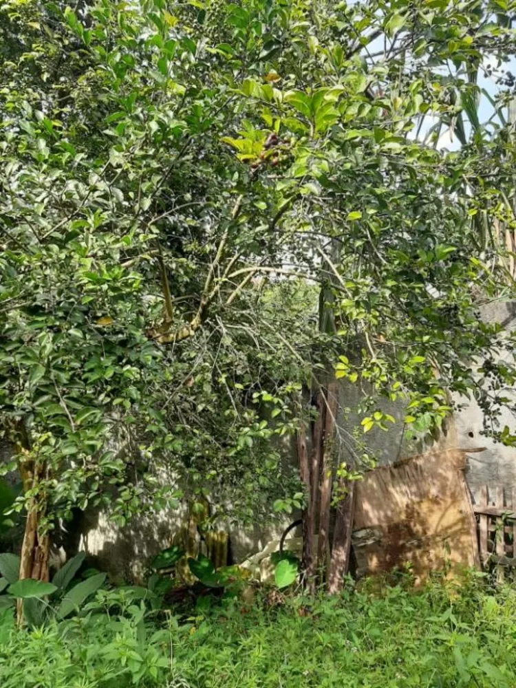 Terreno, 505 m² - Foto 8