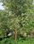 Terreno, 505 m² - Foto 3