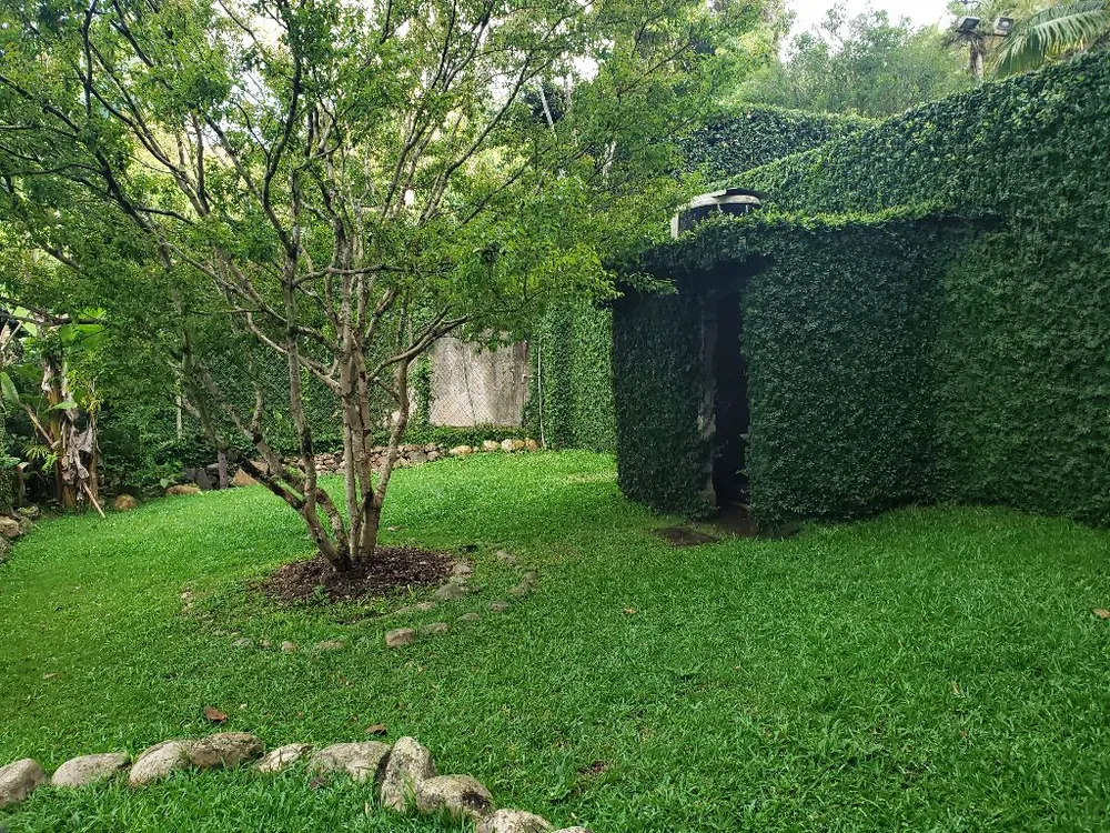 Chácara, 2 quartos, 1746 m² - Foto 11
