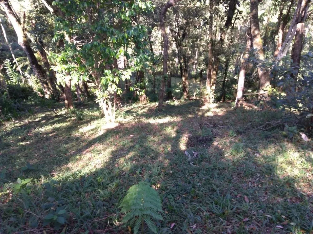 Chácara, 2 quartos, 9 m² - Foto 11