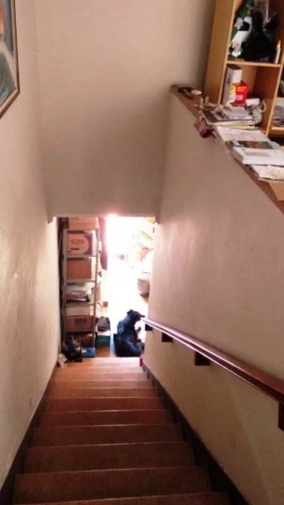 Sobrado, 2 quartos, 189 m² - Foto 8